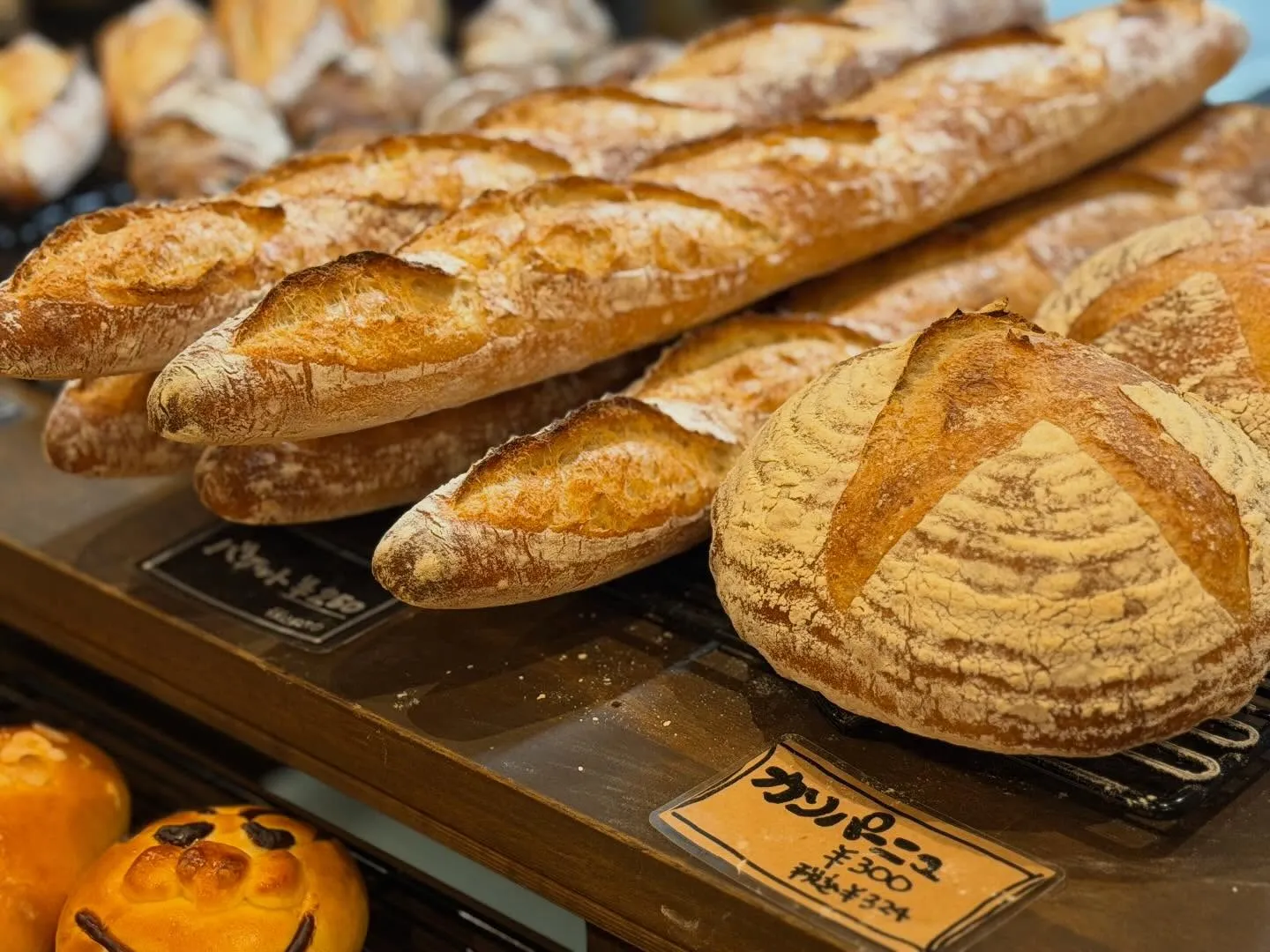 おはようございます𖠿𖥧𖥣。